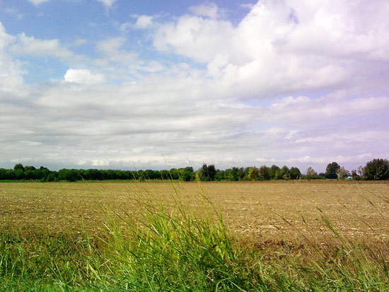 Mantuanische Landschaft