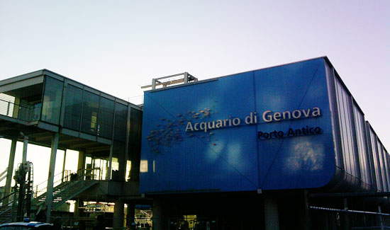 Das Aquarium von Genua