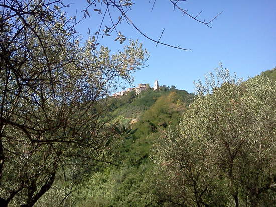 Una hermosa vista del pueblo desde los olivos en la subida a Trebiano