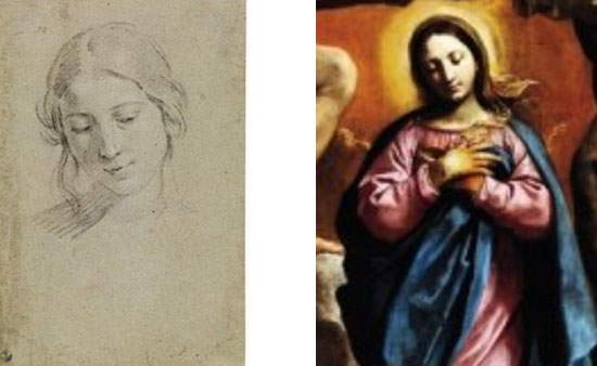 Simone Cantarini, Cabeza de joven y detalle de la Coronación de la Virgen