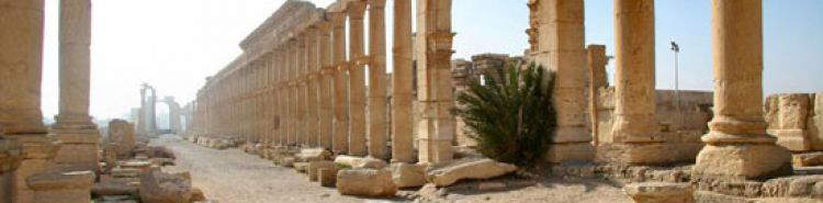 A piece by Khaled Asaad: the construction materials of Palmyra