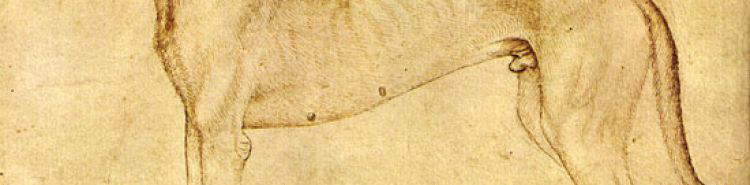 Los animales de Pisanello seg&uacute;n Adolfo Venturi, entre v&iacute;nculos g&oacute;ticos e impulsos renacentistas