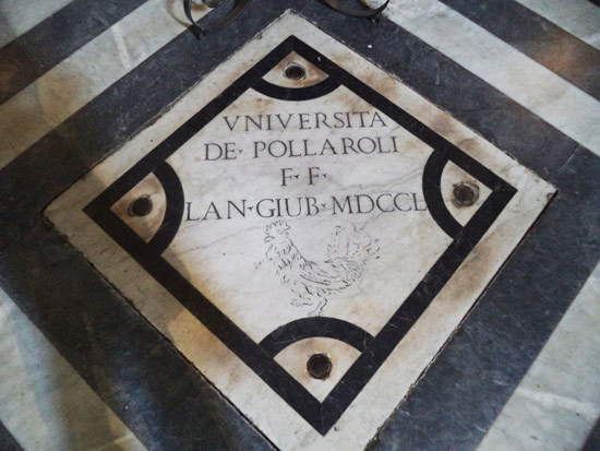 UniversitÃ  de' Pollaroli