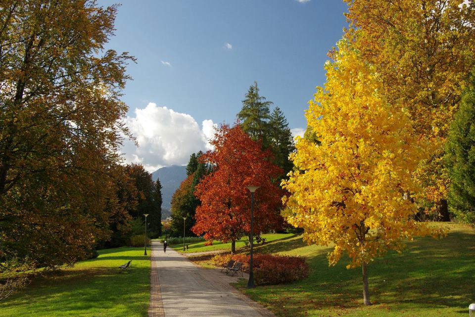 Il parco in autunno