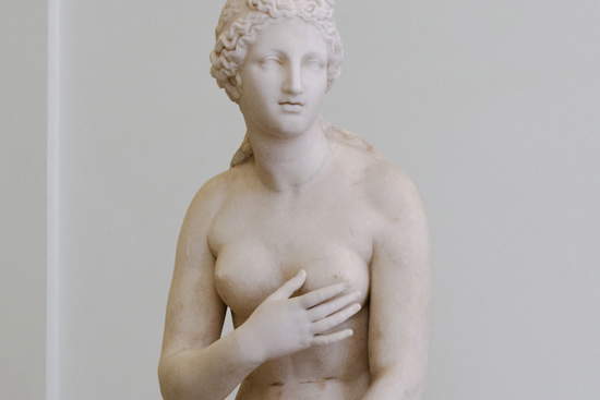 Particolare della Venere Capitolina, una delle statue coperte