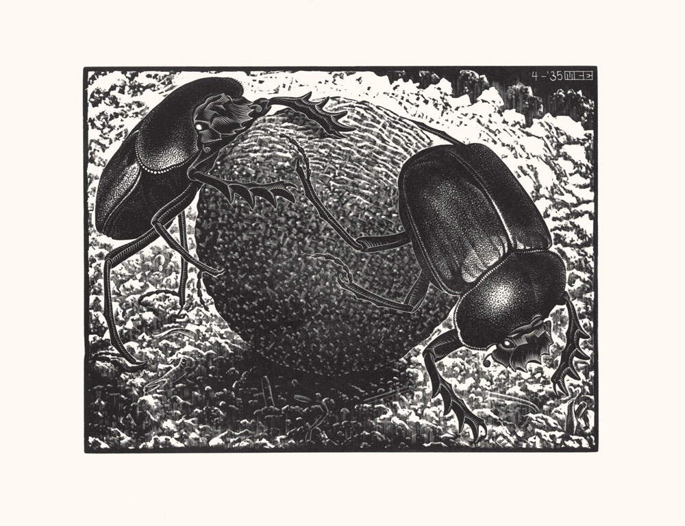 Maurits Cornelis Escher, Escarabajos