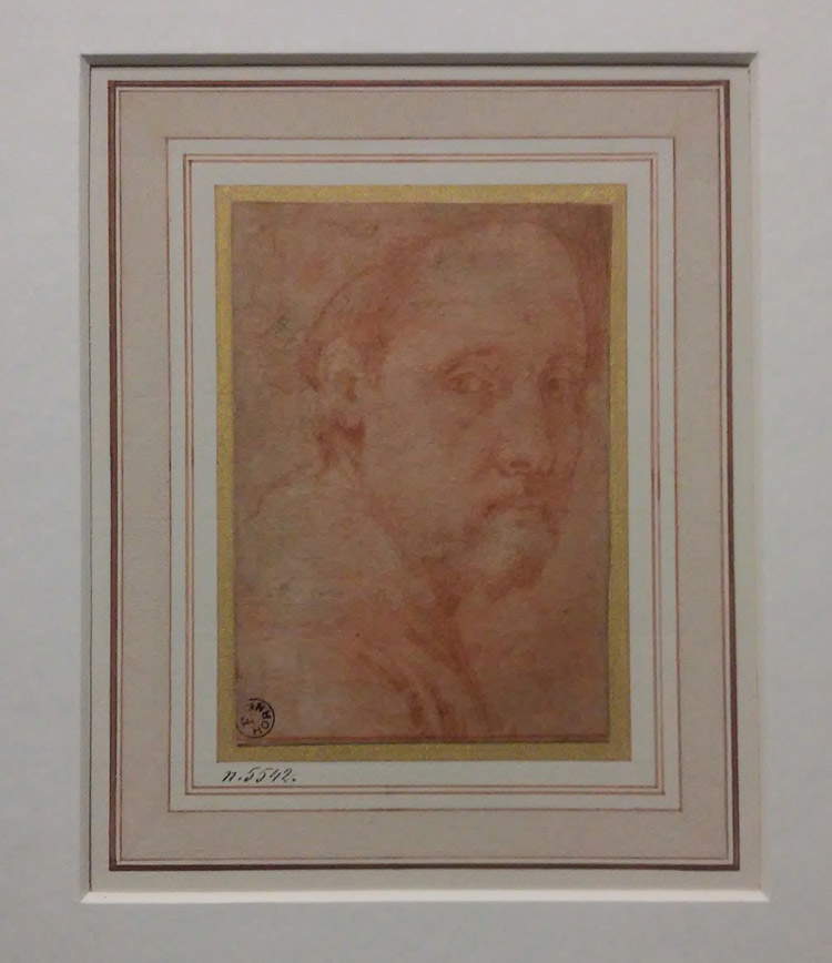 Pontormo, Autoritratto