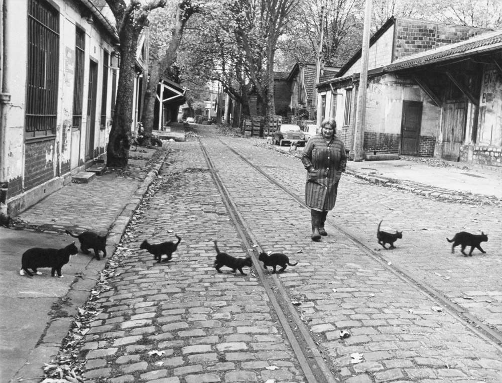 Robert Doisneau, Les chats de Bercy