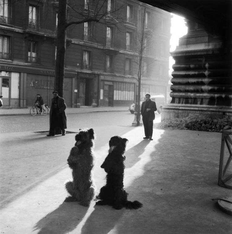 Robert Doisneau, Les chiens de la Chapelle