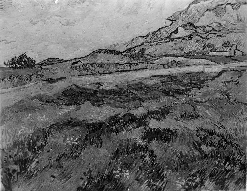 Vincent van Gogh, Paysage à Saint-Remy