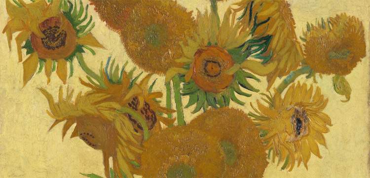 Five versions of Van Gogh's sunflowers brought together. For an unprecedented 