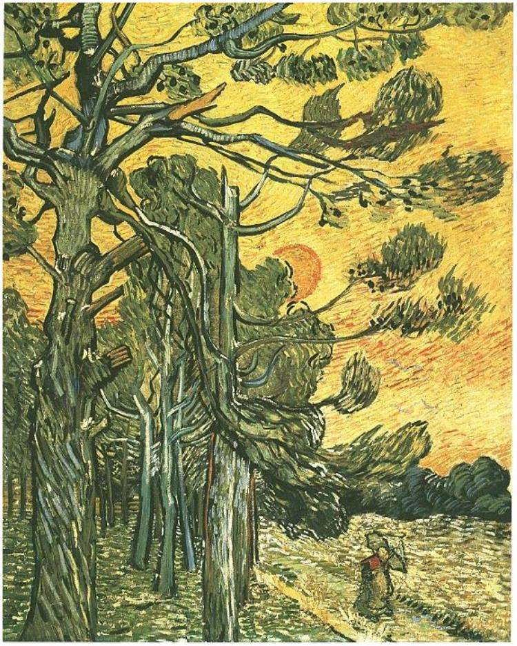Marco Goldin torna a Vicenza con una mostra su Van Gogh