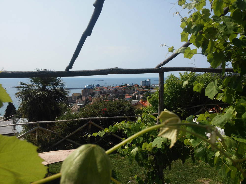 Il panorama dal giardino di Casa Jorn