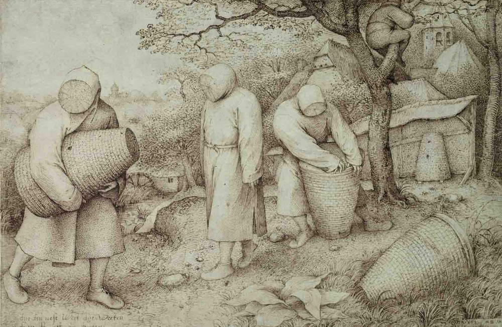 Pieter Bruegel il Vecchio, Apicoltori