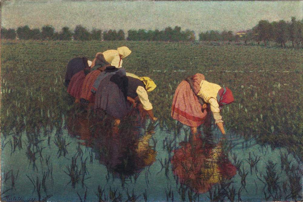La vie dans les rizières, le travail des femmes selon Angelo Morbelli