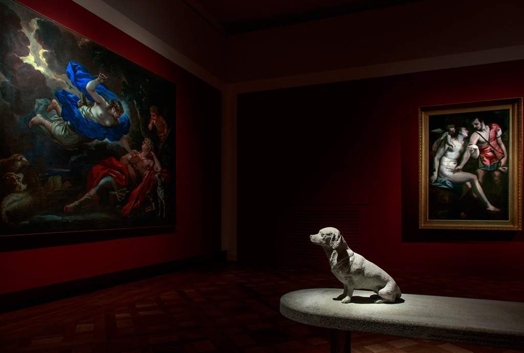 An exhibition at Venaria Reale on dogs in art history, from antiquity to Keith Haring 