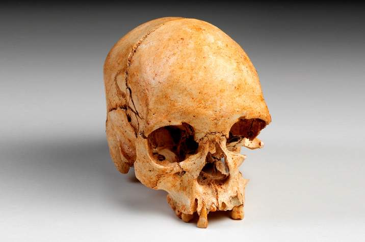Musée national de Rio, des fragments de l'une des plus précieuses découvertes, le squelette de Luzia, ont été récupérés.