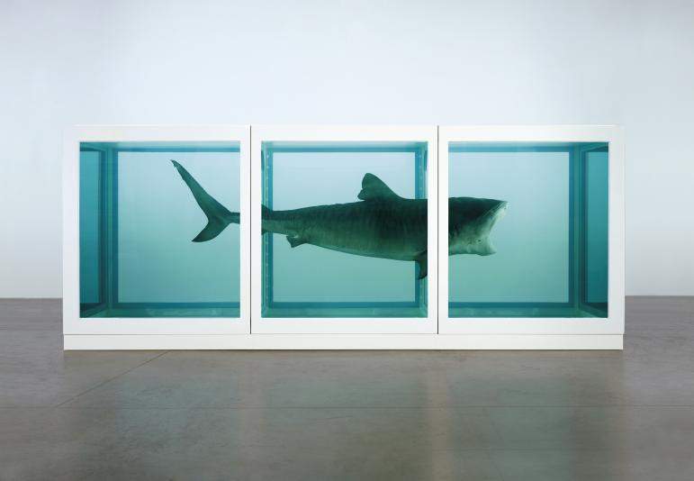 Hirst, soaring prices and collectors' bloodbath. Artnet's analysis