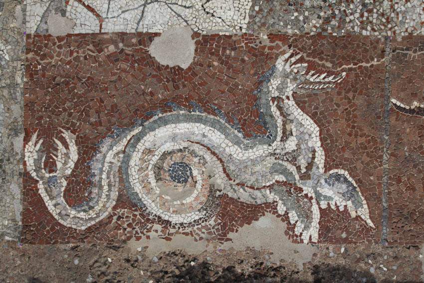 Ancient Kaulon, exceptional opening of the mosaic of the Hall of Dragons and Dolphins