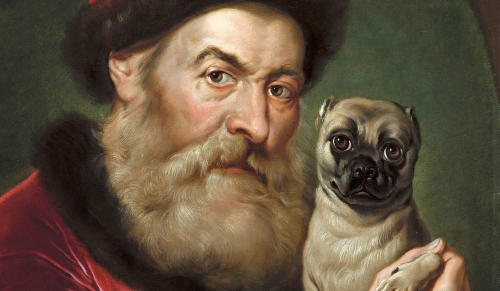 Pugs, flamingos, cats, foxes: animals in art between the 16th and 18th centuries on display in Brescia. Photos