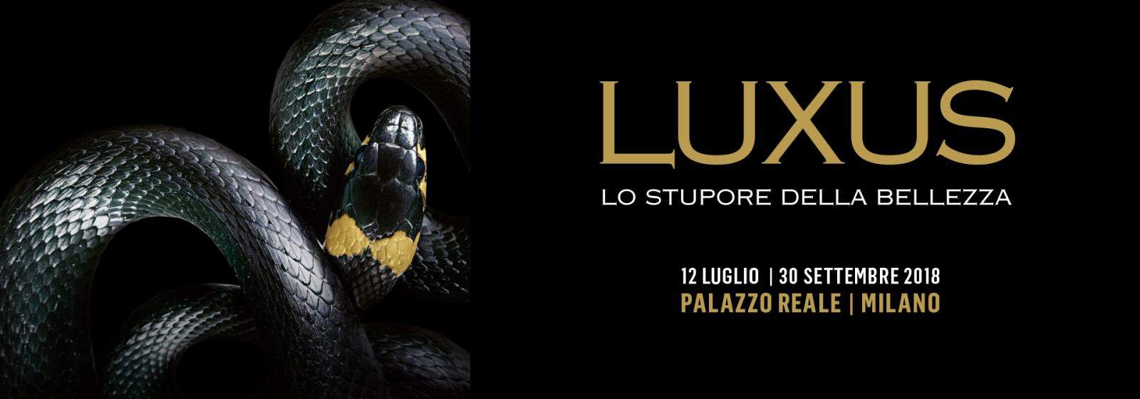 Luxus, la merveille de la beauté : le luxe est le protagoniste à Milan