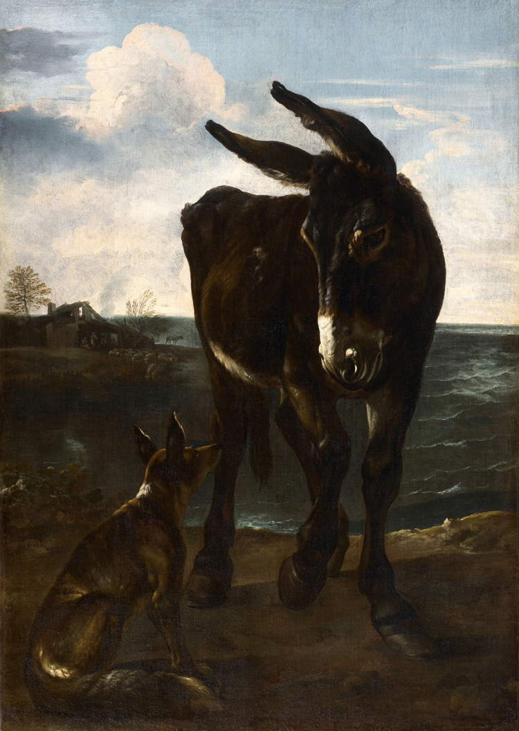 Michelangelo Cerquozzi, L'asino e la volpe (1640 circa)