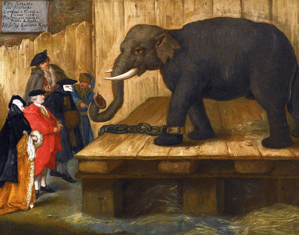 Pietro Longhi, L'elefante (1774)