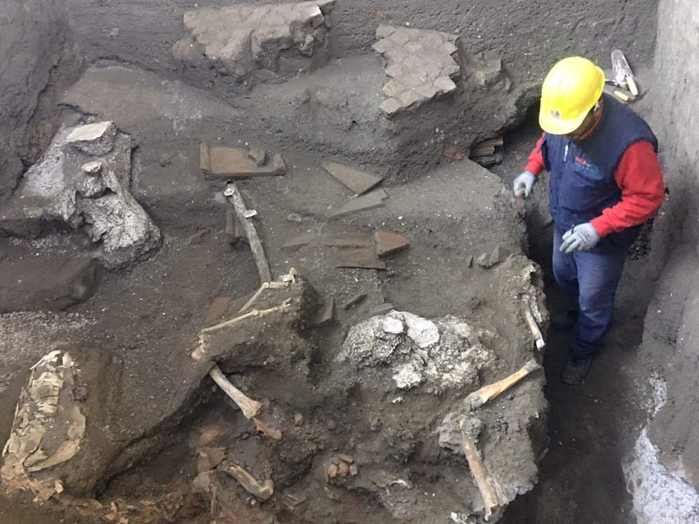 More important discoveries in Pompeii, horse found with rare military trappings