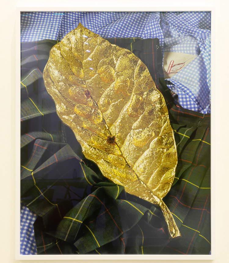 Torbjørn Rødland, Golden Leaf