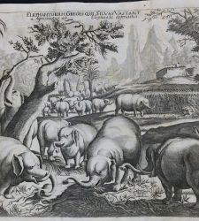 Le meravigliose avventure dei viaggiatori del passato, tra '400 e '800: la mostra alla Galleria Estense