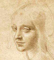 À Haarlem, la plus importante exposition de dessins de Léonard de Vinci jamais organisée en Hollande