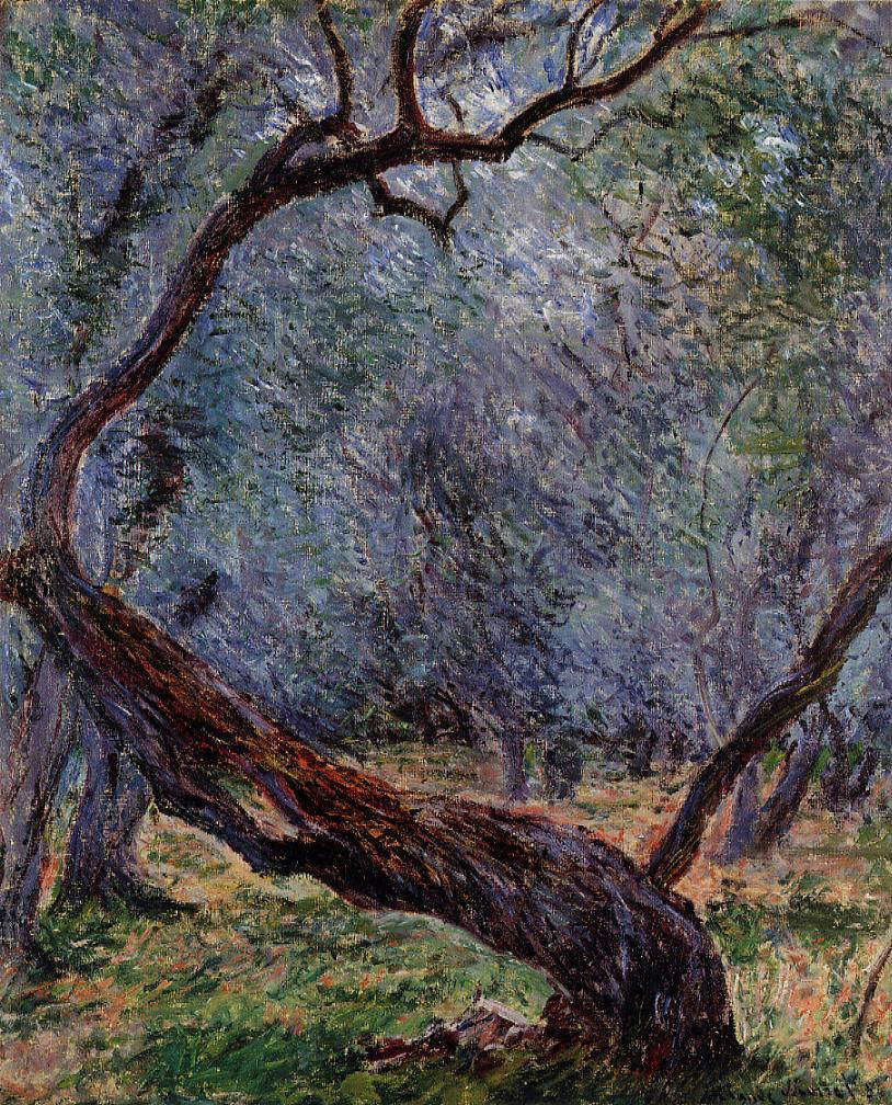 Claude Monet, Studio di piante di olivo (1884; olio su tela, 73 x 60 cm; Collezione privata) 