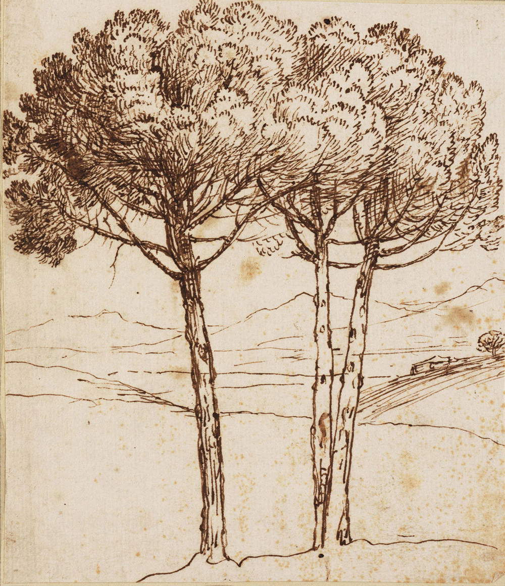 Claude Lorrain, Veduta con pini (1640 circa; penna e inchiostro marrone su carta, 15,7 x 12,5 cm; Haarlem, Teylers Museum)
Claude Lorrain, Veduta con pini (1640 circa; penna e inchiostro marrone su carta, 15,7 x 12,5 cm; Haarlem, Teylers Museum)