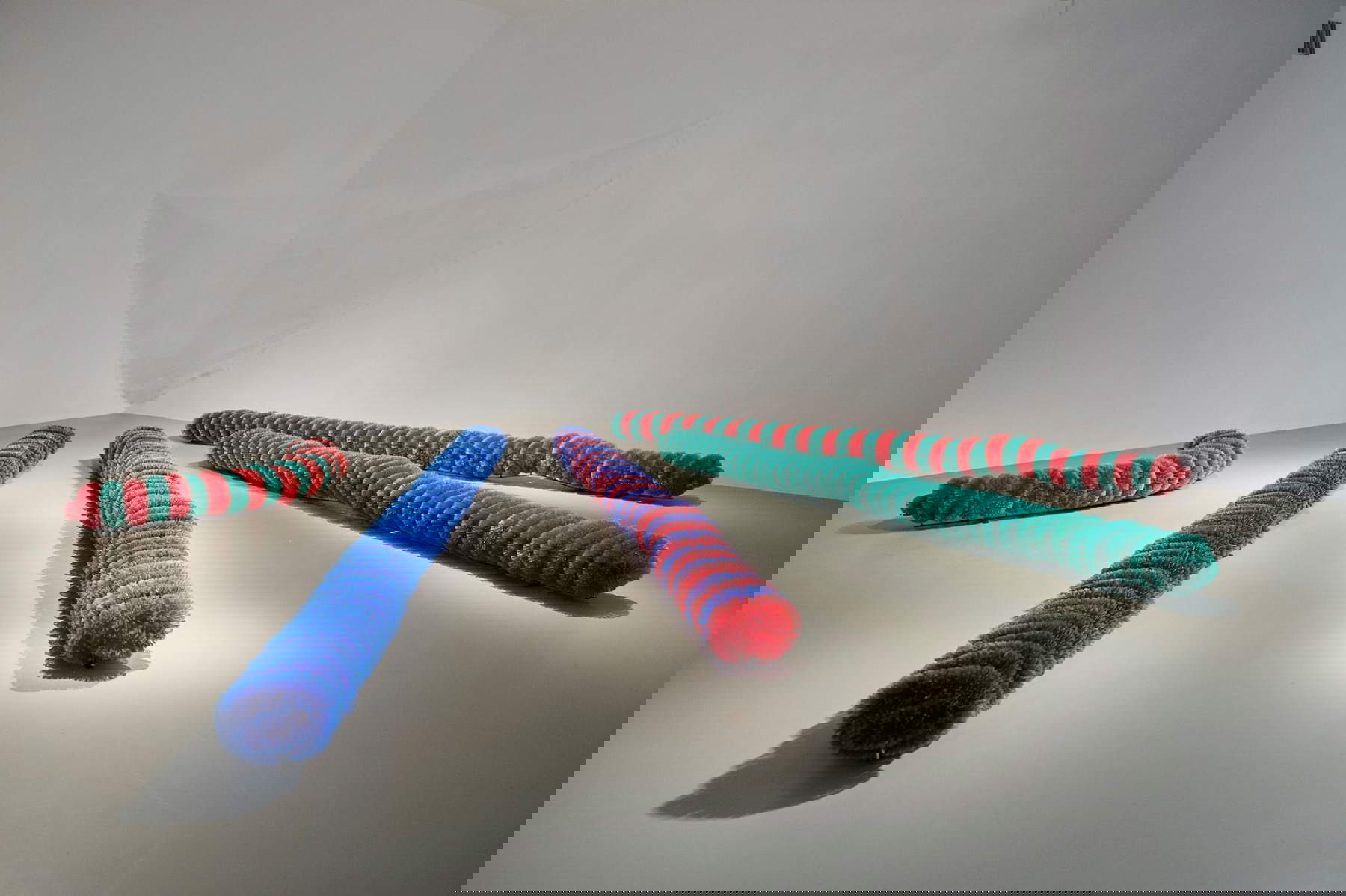 Pino Pascali, Cinco gusanos de cerdas y un capullo (1968; gusanos de cerdas acrílicas sobre marco metálico)
 