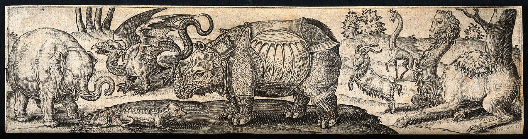 Abraham de Bruyn, Un elefante, un drago, un rettile, un rinoceronte, una capra e due giraffe (seconda metà del XV secolo; incisione, 52 x 21 mm; Londra, Wellcome Collection)
