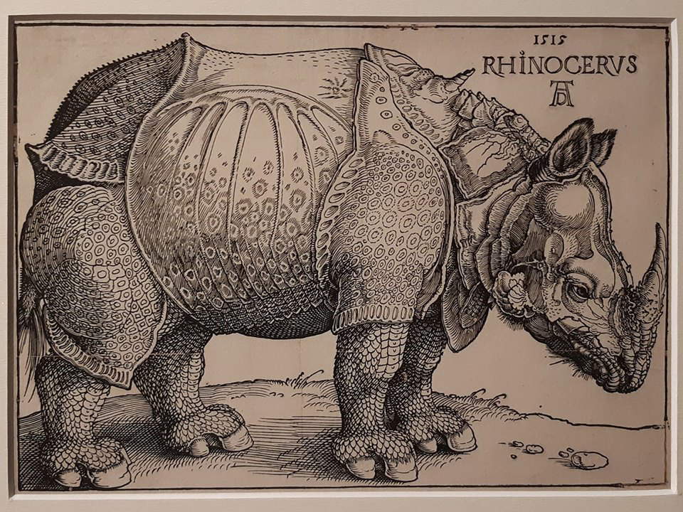 Albrecht Dürer, Rinoceronte (1515; xilografia, 212 x 298 mm inciso, 221 x 306 mm foglio; esemplare di ottava edizione, tiratura del XVII secolo; Collezione privata)
