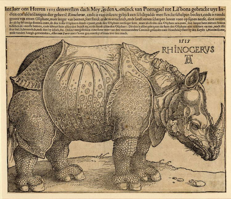 Albrecht Dürer, Rinoceronte (1515; xilografia, 214 x 299 inciso, 254 x 303 mm foglio, esemplare con iscrizione in olandese dalla sesta edizione pubblicata all'Aia nel 1620 circa; Londra, British Museum)
