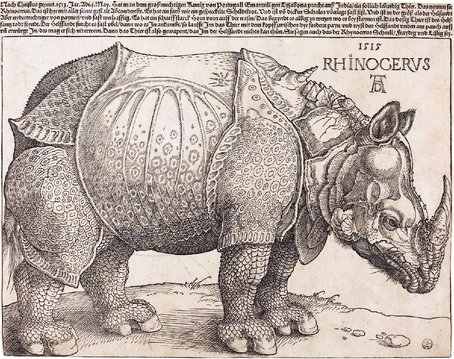 Albrecht Dürer, Rinoceronte (1515; xilografia, 235 x 298 mm; Washington, National Gallery of Art)
