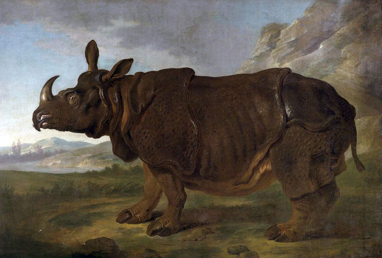 Jean-Baptiste Oudry, Il rinoceronte Clara a Parigi nel 1749 (1749; olio su tela, 310 x 456 cm; Schwerin, Staatliches Museum)
