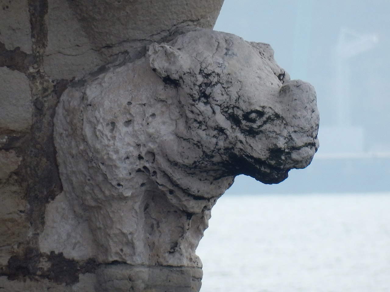 Scultore portoghese, Rinoceronte (1515; Lisbona, Torre di Belém)
