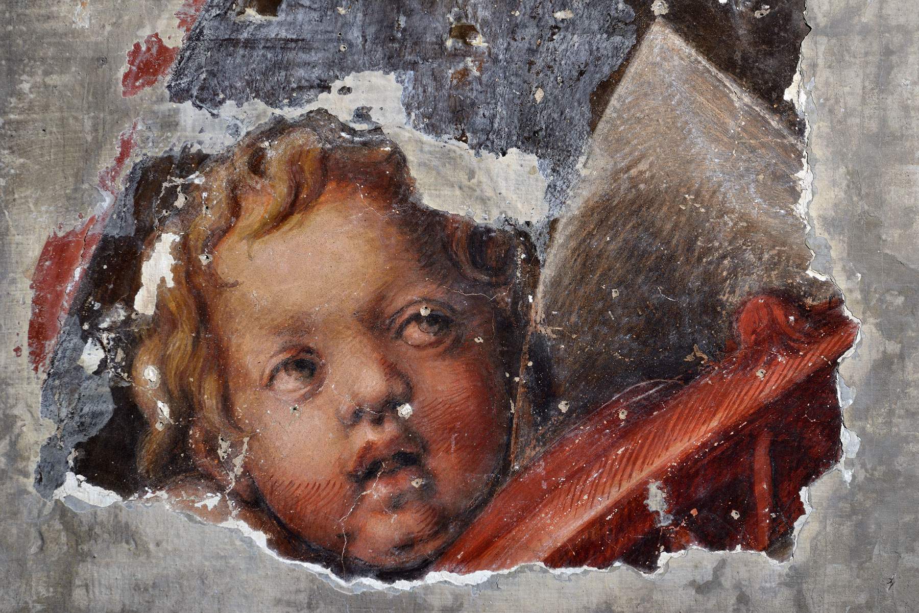 Parma, eccezionale scoperta: ritrovati gli affreschi quattrocenteschi di San Francesco del Prato