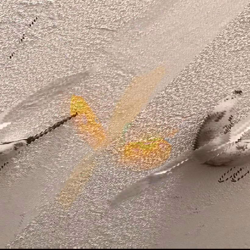 Fallica. Di: @christianhoosen