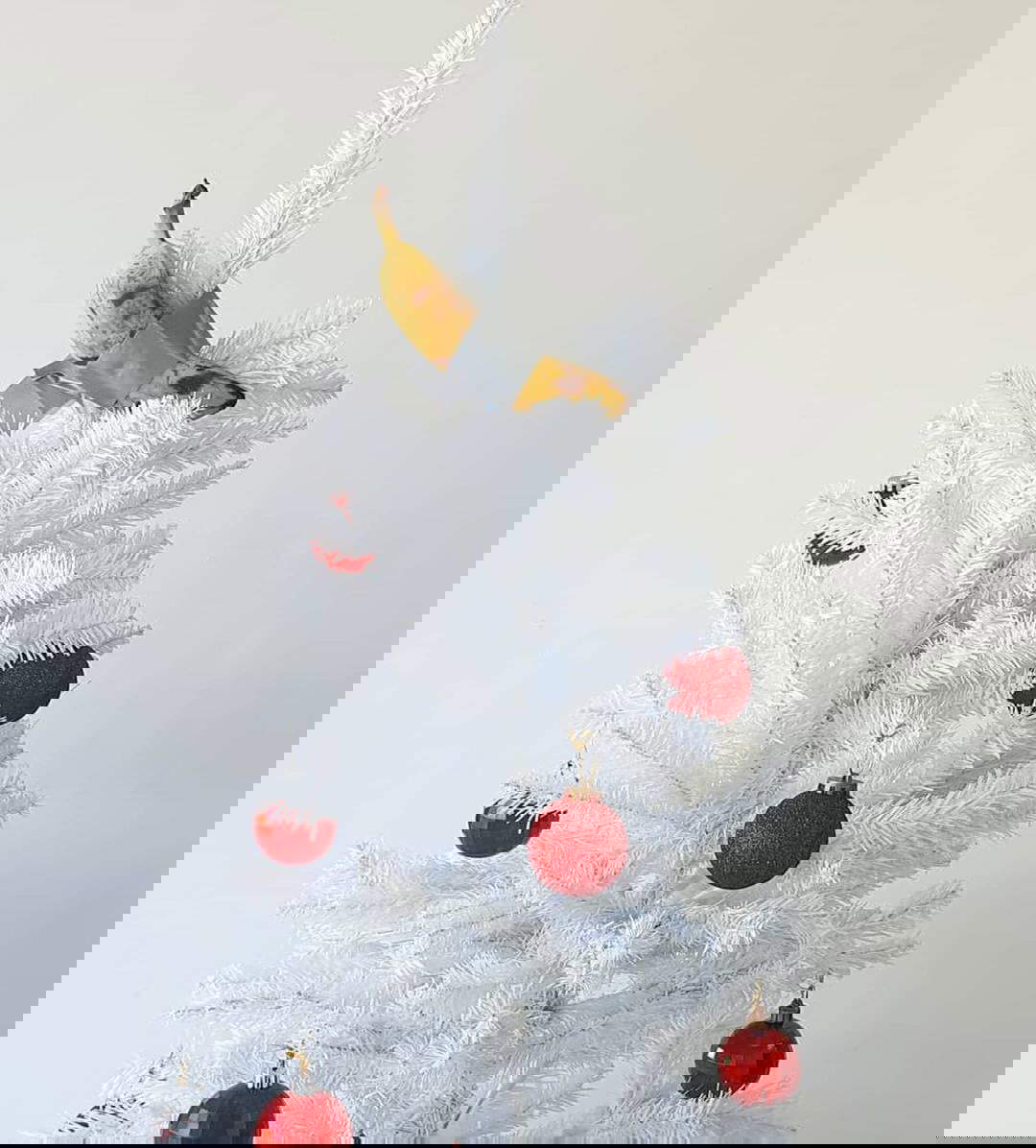 Merry bananamas! Di: @galeriamexico_