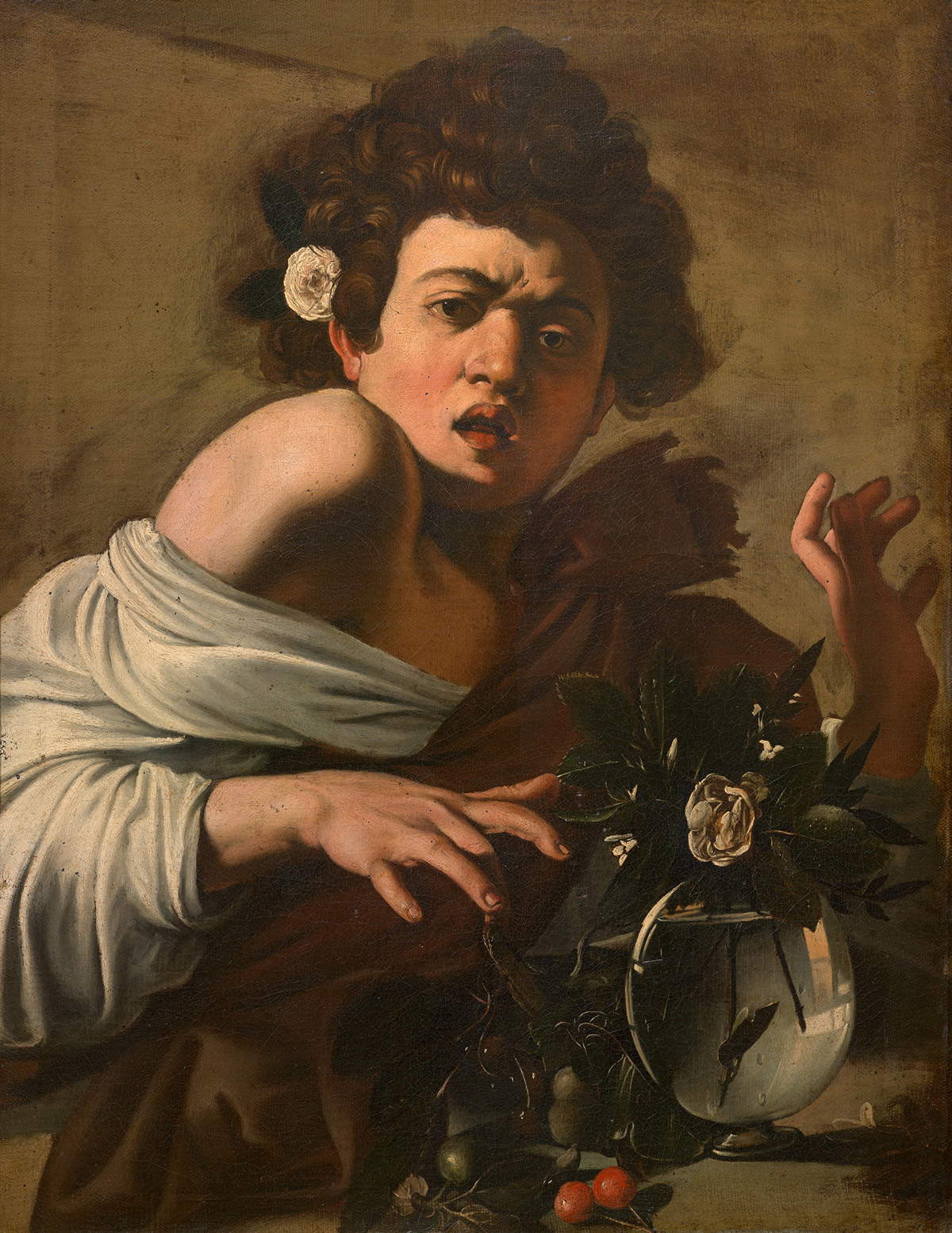 Caravaggio, Ragazzo morso da un ramarro (1595; olio su tela, 65 x 52 cm; Firenze, Fondazione Roberto Longhi)