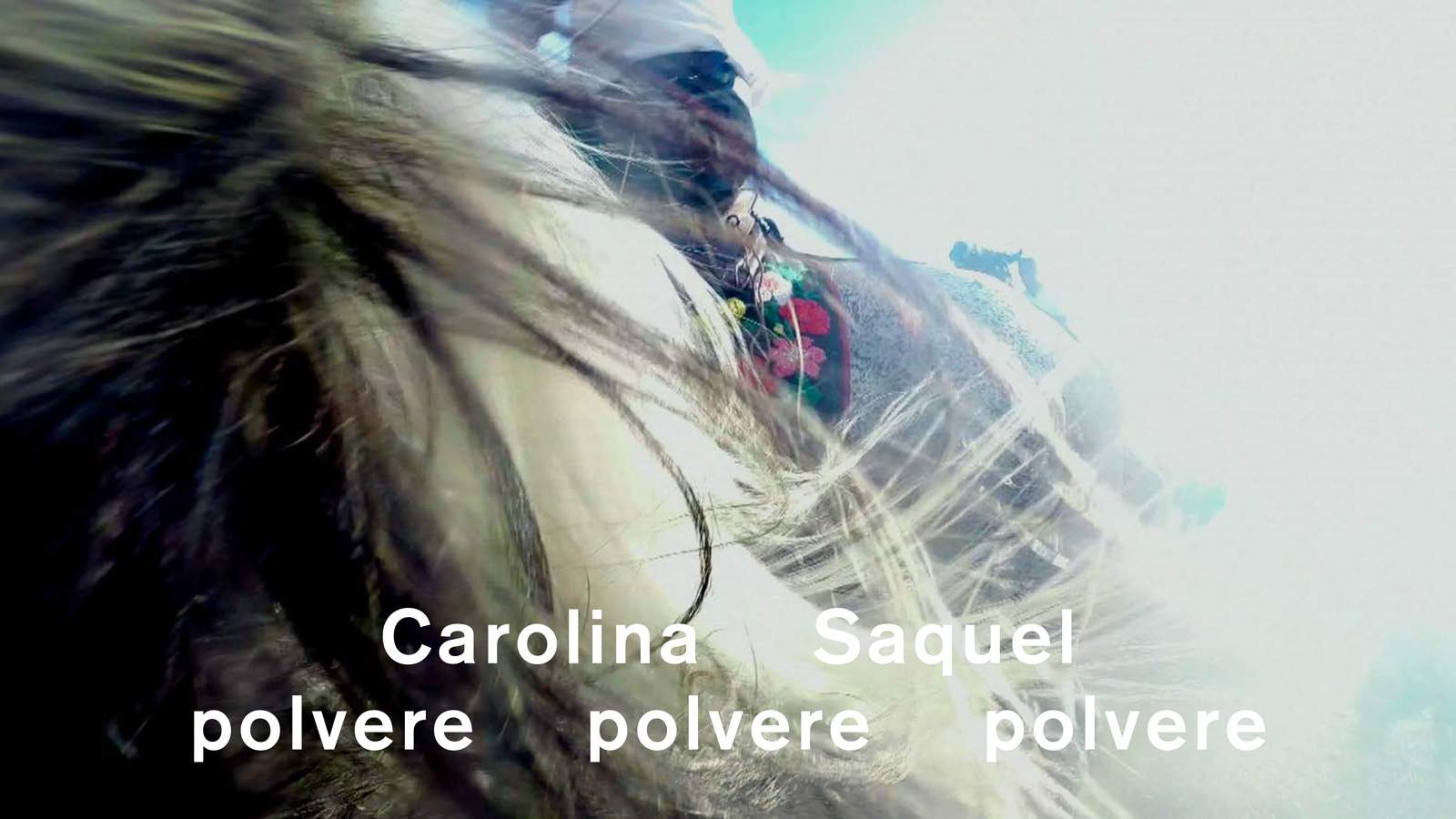 At the National Gallery in Rome the project polvere polvere, solo exhibition of Carolina Saquel