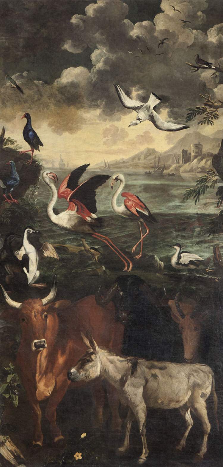 The wonderful world of nature between art and science: on display at Milan's Royal Palace