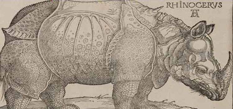 Une exposition majeure présente pour la première fois l'ensemble de la collection Remondini d'œuvres graphiques de Dürer.