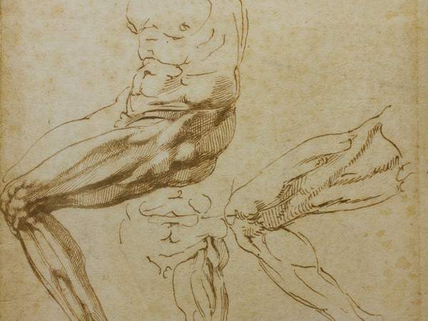 A Torino arriva Michelangelo: i disegni del grande artista toscano sono esposti alla Pinacoteca Agnelli
