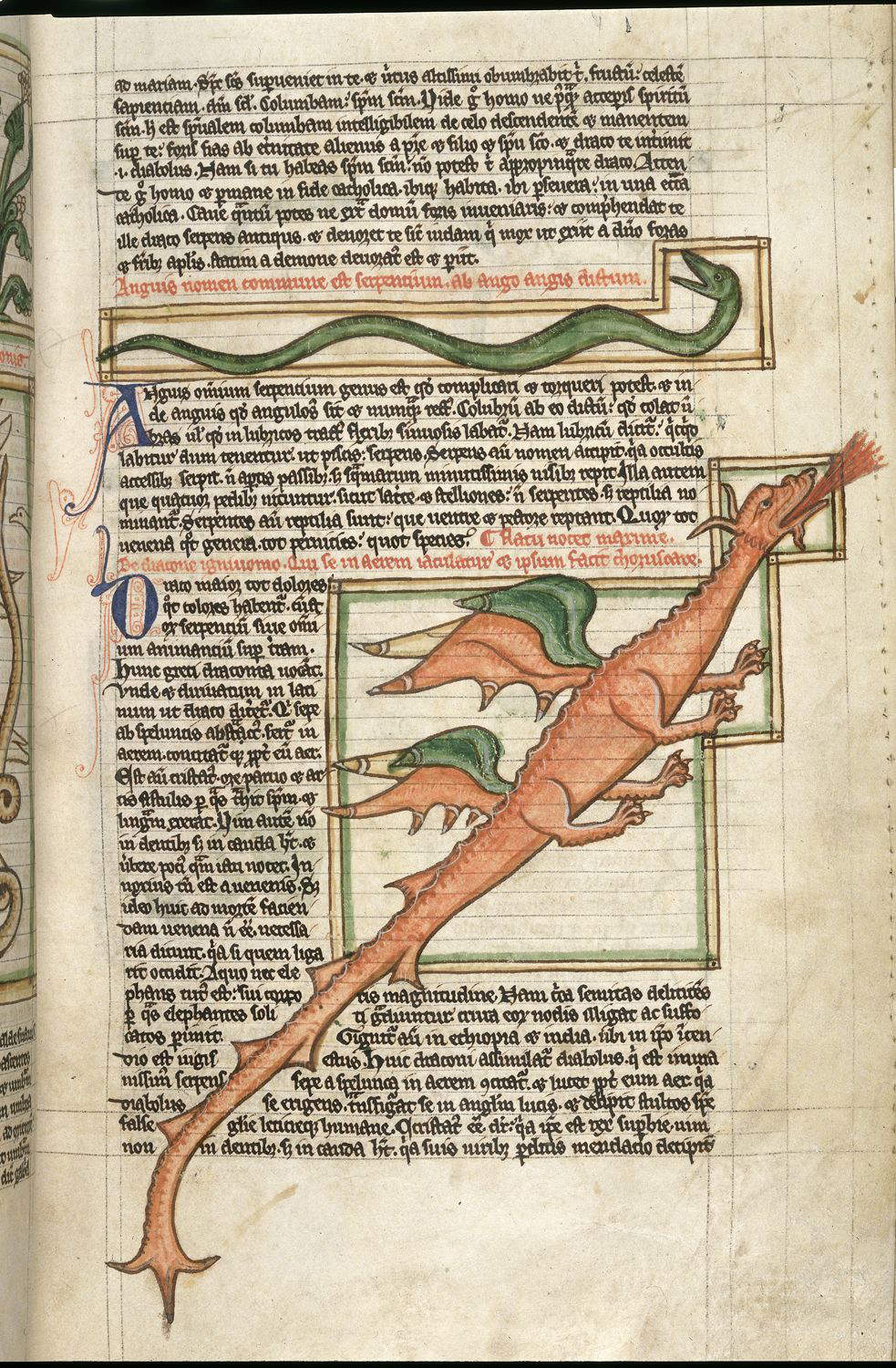 Miniaturista del siglo XIII, Dragón en un bestiario medieval (c. 1255-1265; Londres, Biblioteca Británica, Harley MS 3244, fol. 59r).