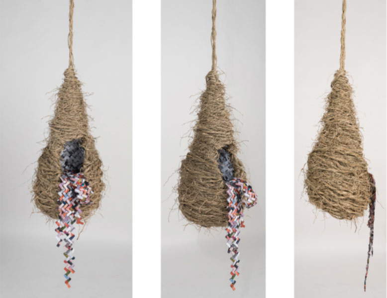 Federica Cipriani, Cocoonest